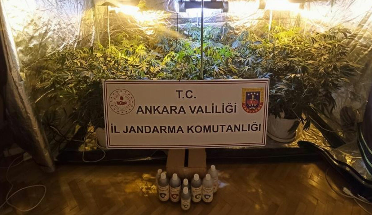 Ev değil uyuşturucu serası! Zehir tacirleri gözaltına alındı Ev değil uyuşturucu serası! Zehir tacirleri gözaltına alındı