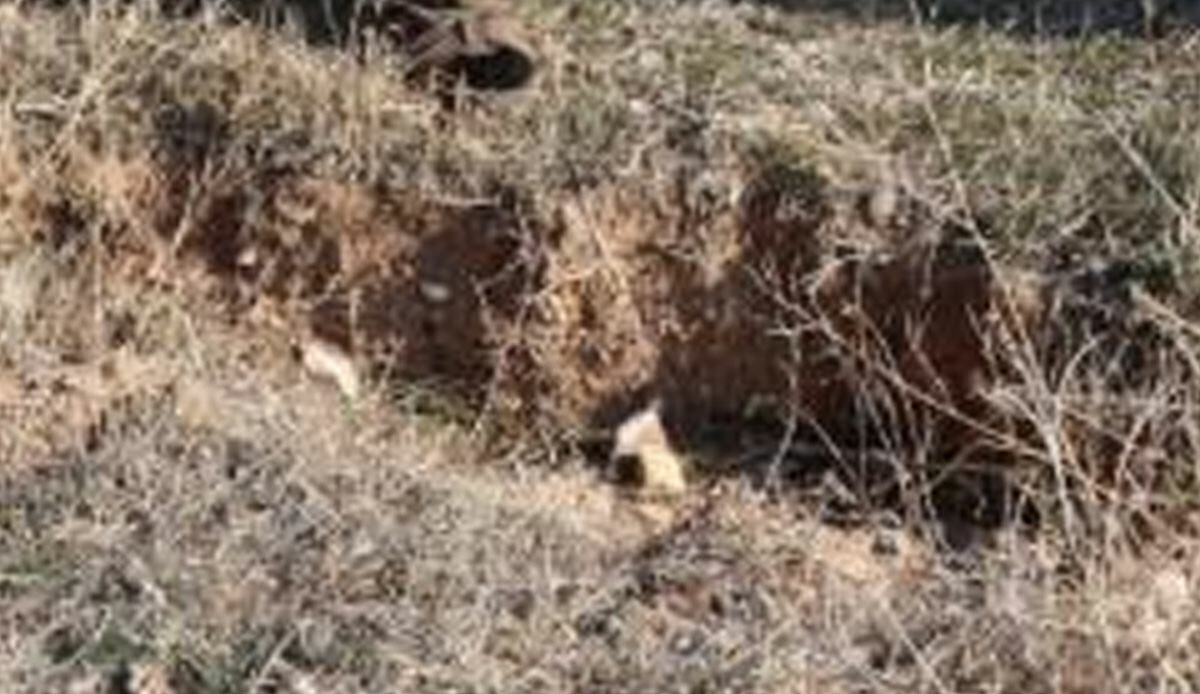 Mahalle sakinlerini tedirgin eden görüntüler! Depremden sonra oluştu, korku ile bekliyorlar