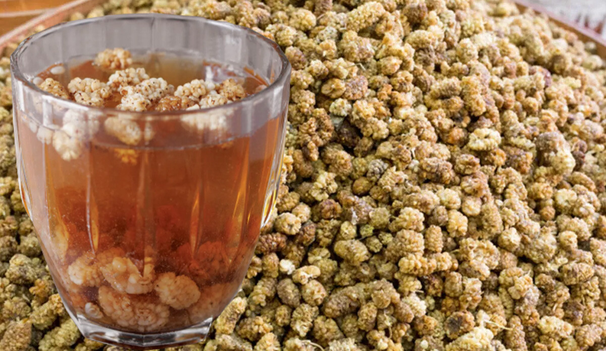 Hastalıklara hızır gibi yetişiyor! Doğal antibiyotik, grip ve soğuk algınlığına kalkan oluyor