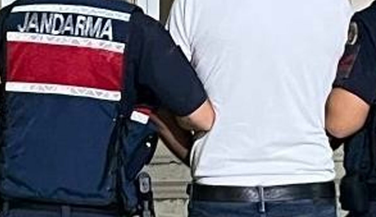 Bu da zeytin hırsızı! Kilo kilo topladı, çok geçmeden yakayı ele verdi Bu da zeytin hırsızı! Kilo kilo topladı, çok geçmeden yakayı ele verdi