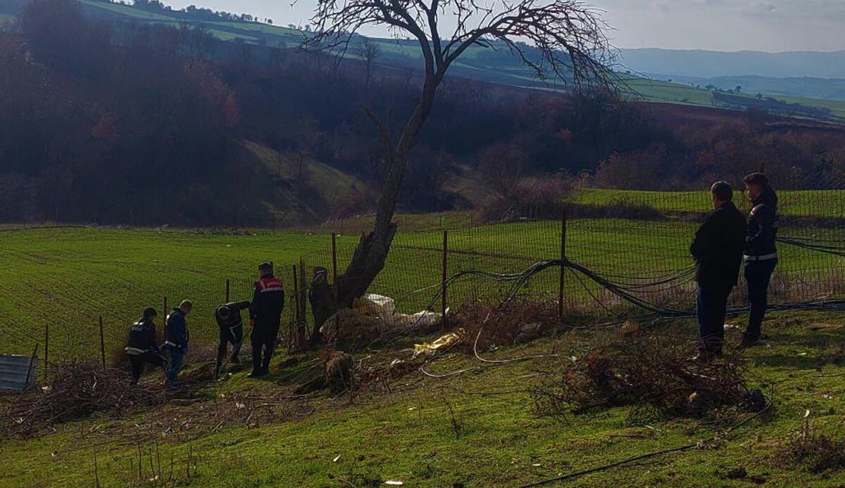 Bu da esrar çiftliği! Topraktan resmen fışkırdı: Polisler bile şaşkın