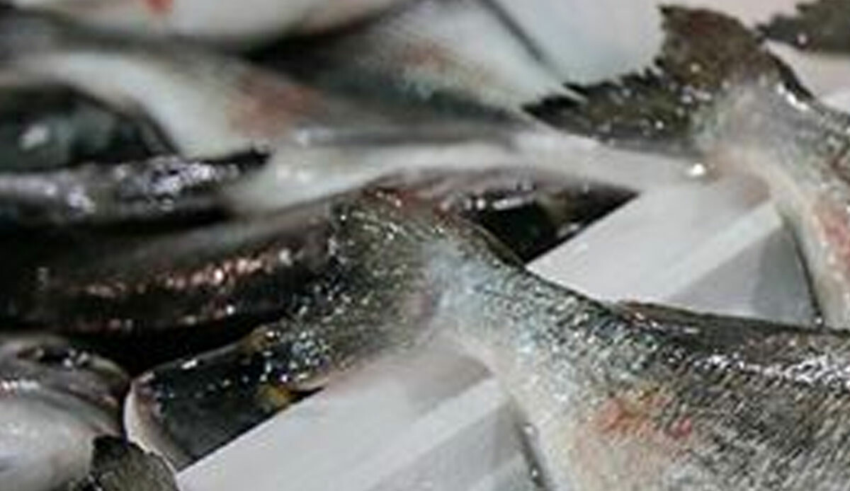 Tezgahlardaki düşük fiyat sevinci yarım kaldı! Ustasından kötü haber geldi: Eğer böyle devam ederse...