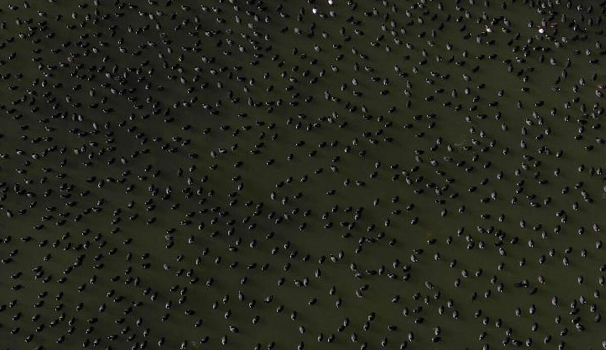 Belgesel değil gerçek! Bu kadarını kimse beklemiyordu: Hava eksi 7 derece ama buraya akın var, neresi olduğunu öğrenince şaşıracaksınız