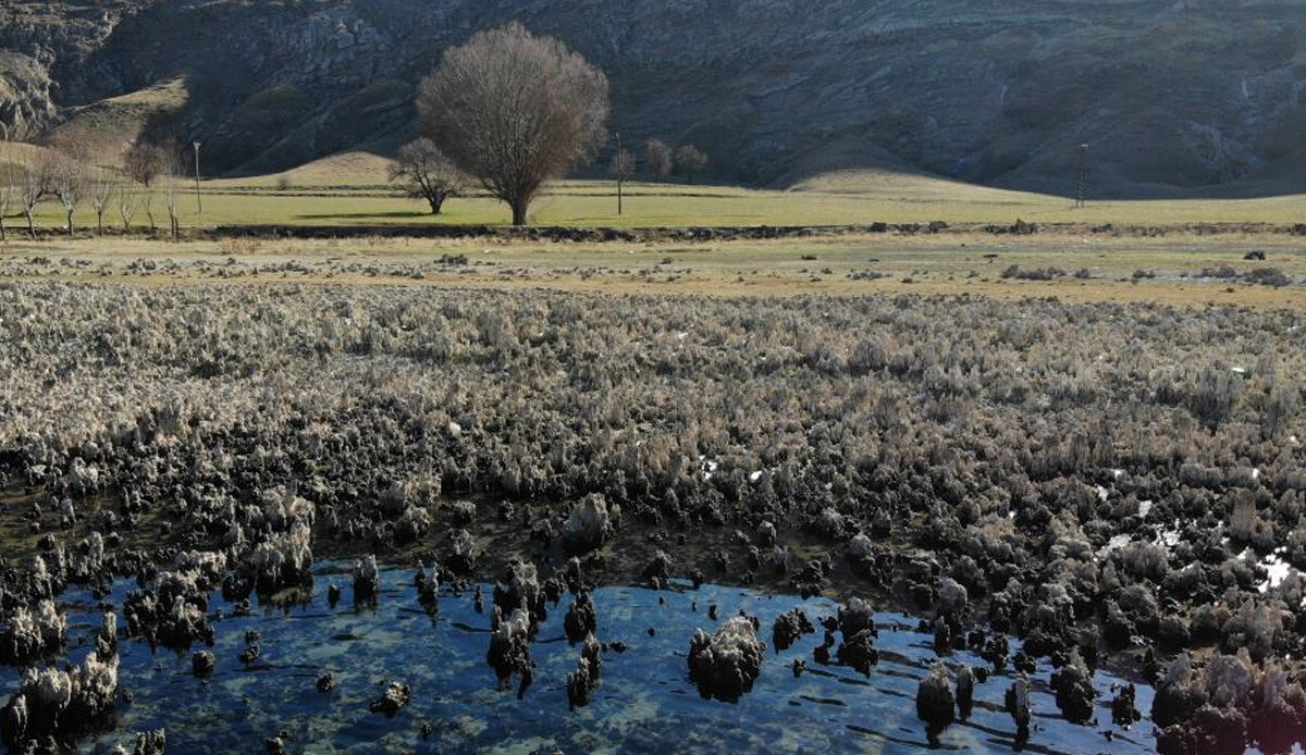 Van Gölü çekildi, gün yüzüne çıktı! Yüzlercesi havadan böyle görüntülendi
