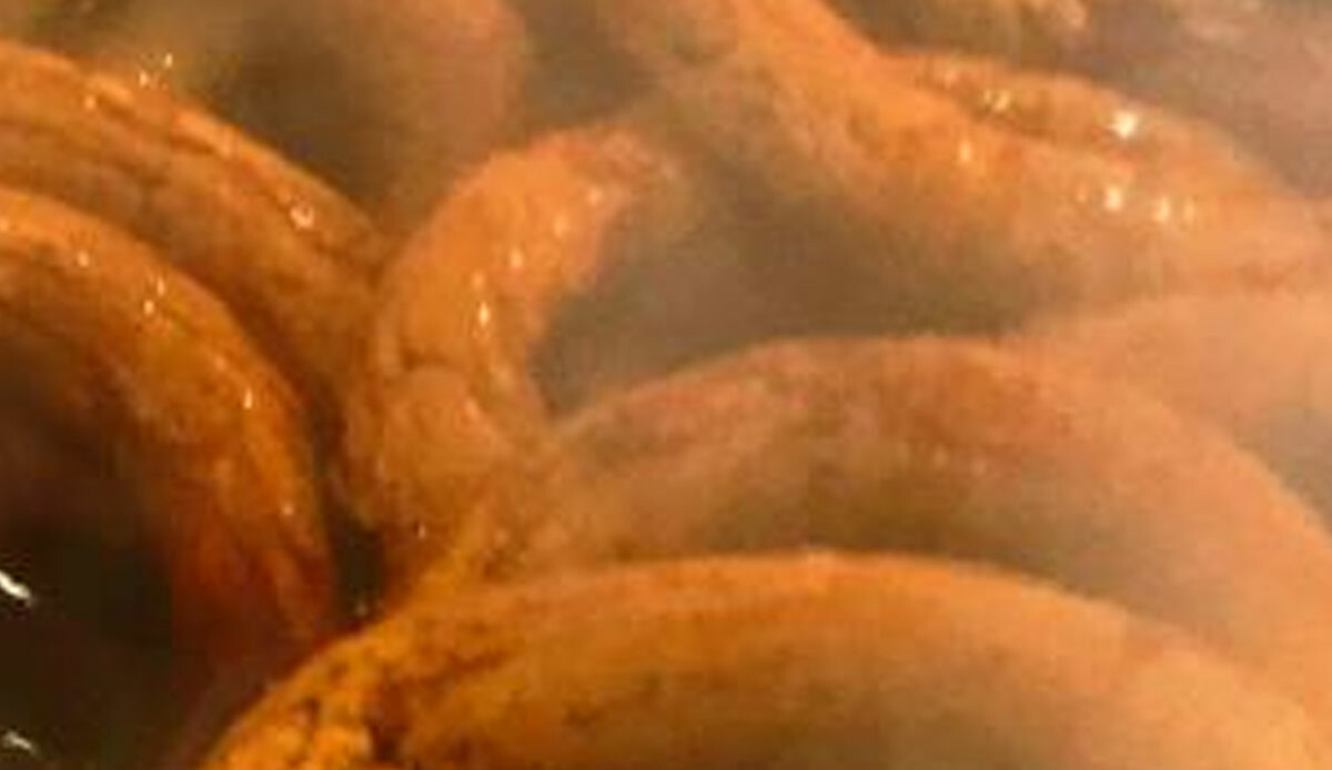 Ne poğaça ne de açma! Bu lezzeti tadan vazgeçemiyor! Üstelik Osmanlı'ya dayanan bir tarihi var: Duyan şaşıp kalıyor