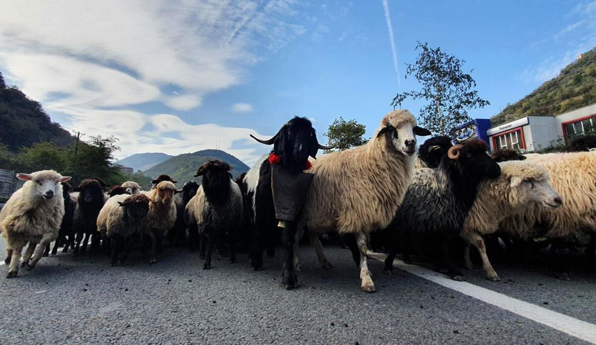 19 köyde yeni salgın! Hepsi karantinaya alındı 19 köyde yeni salgın! Hepsi karantinaya alındı