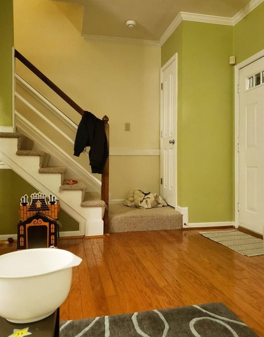 IQ’yu ölçen test: Odadaki saklanan kediyi 10 saniyede bulan dünya rekoru kırıyor