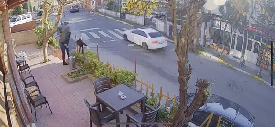 Pendik'te yürek sızlatan görüntü! Vicdansız sürücü kedinin üstünden geçti Pendik'te yürek sızlatan görüntü! Vicdansız sürücü kedinin üstünden geçti
