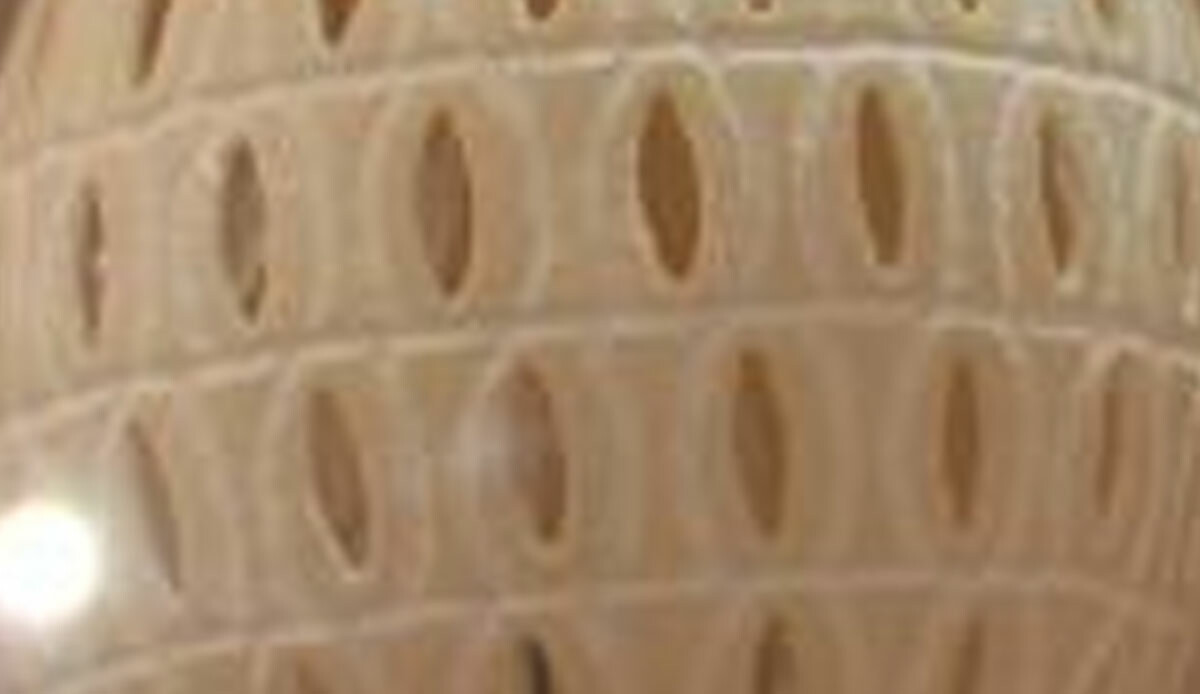 Türkiye'de ilk, dünyada 5'inci! Duyulmamış canlılar yer alıyor, üstelik Afyon'da: Görüntüler inanılmaz