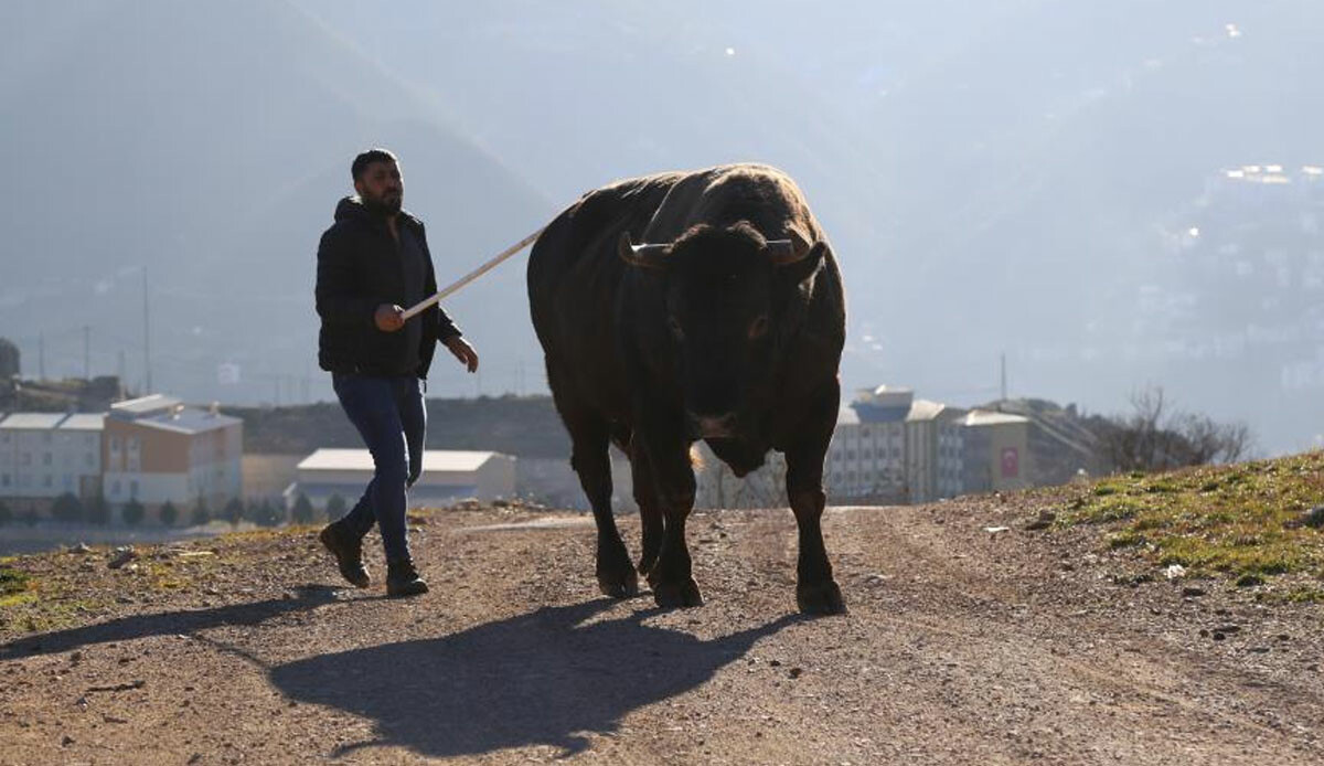 Şampiyonun heykeli bile var, neredeyse 1 ton ağırlığında! Fiyatını duyan 'yok artık' dedi ama satıldı