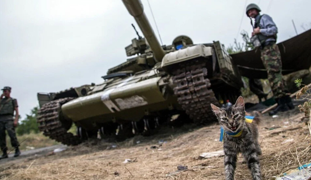 Ukrayna’nın kedi savunma gücü: Ülkelerini terk etmediler, askerlerle birlikte savaşıyorlar