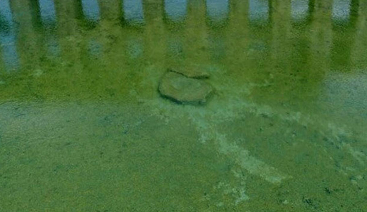 Herkes görmek için akın ediyor! Dünyada üzerinde yalnızca iki adet var: Biri İngiltere'de biri Yozgat'ta