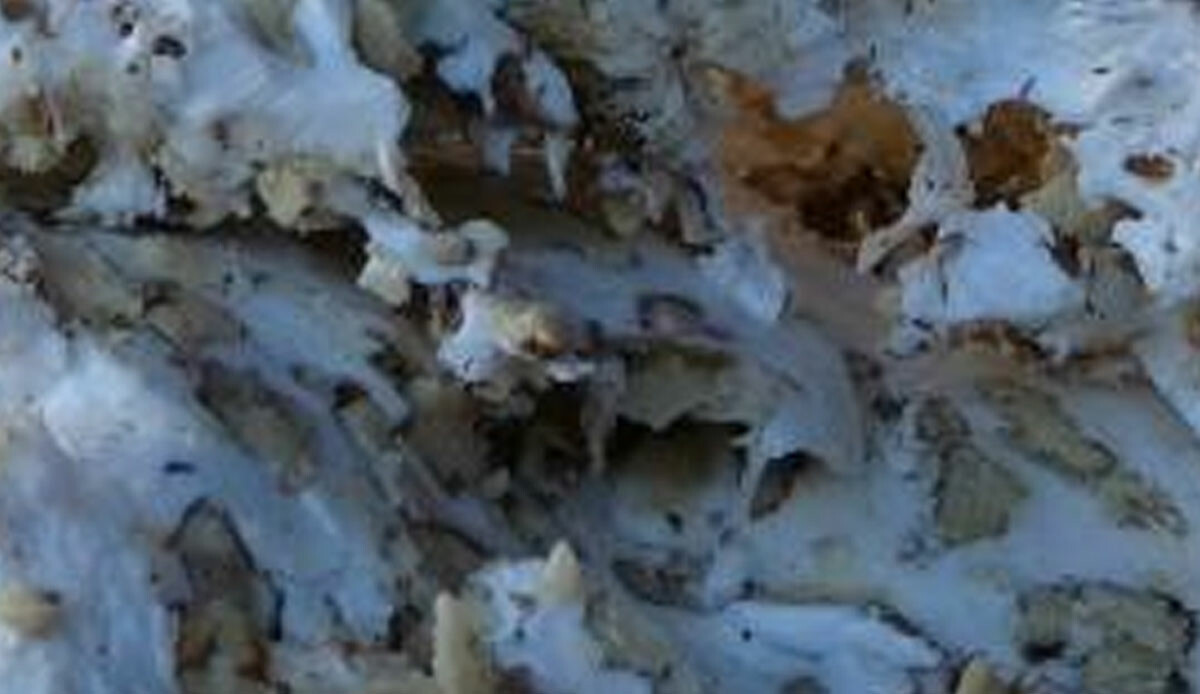 Günlerce kaynıyor, üstelik tescilli! İçinde yok yok, yiyen üşümek ne bilmiyor: Kış aylarının vazgeçilmezini görünce ağzınız sulanacak