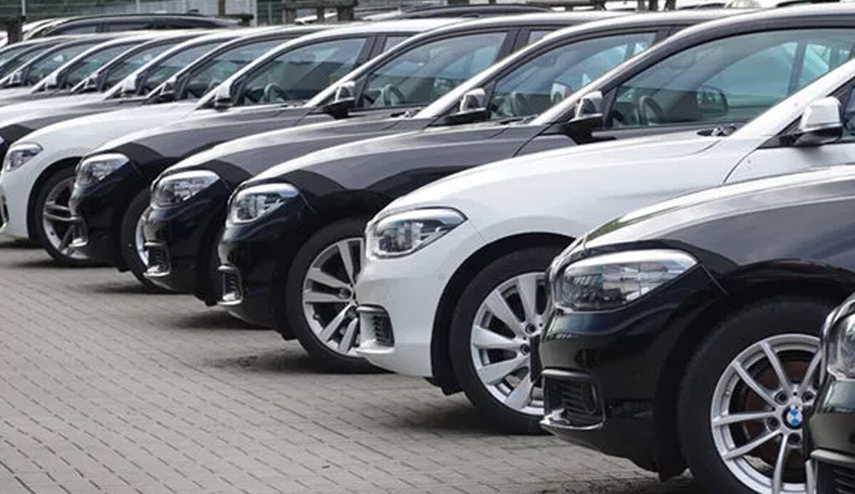 İkinci el satıcı martı bekliyor İkinci el satıcı martı bekliyor