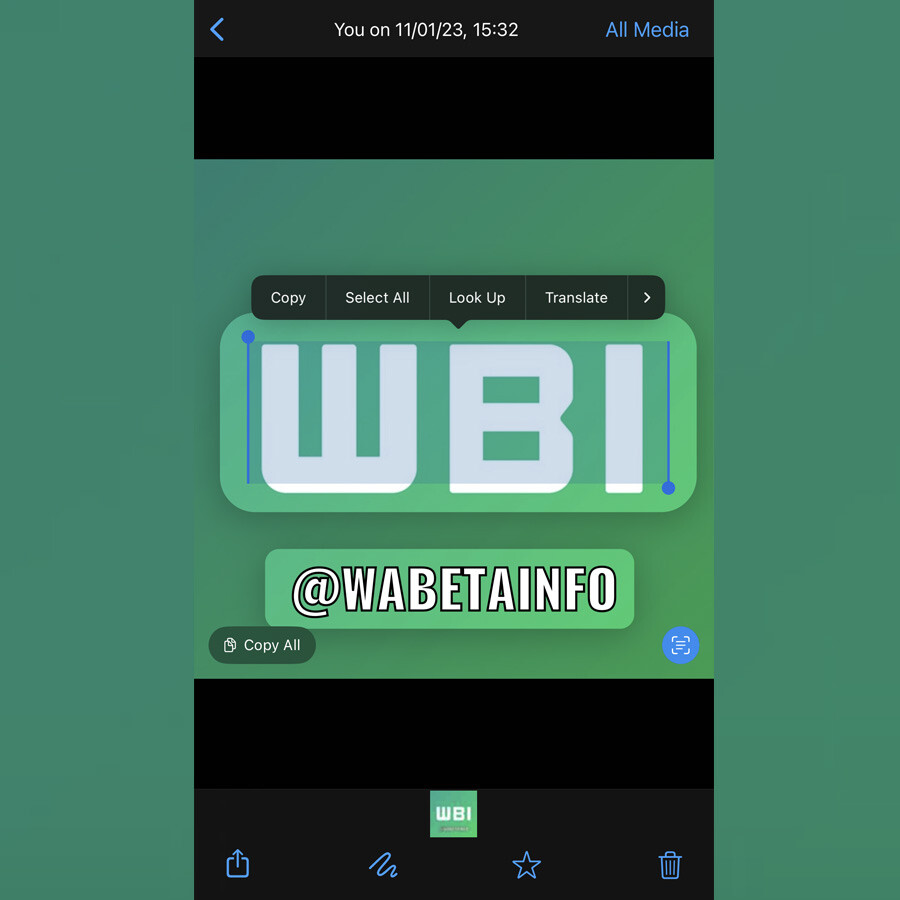 WhatsApp'a gelen yeni iPhone özelliği çok konuşulacak: IBAN’ın resmini çekip atanlara artık sitem etmenize gerek kalmayacak