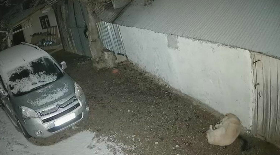 Depreme uykusunda yakalandı, kaçış anı saniye saniye kameraya yansıdı Depreme uykusunda yakalandı, kaçış anı saniye saniye kameraya yansıdı