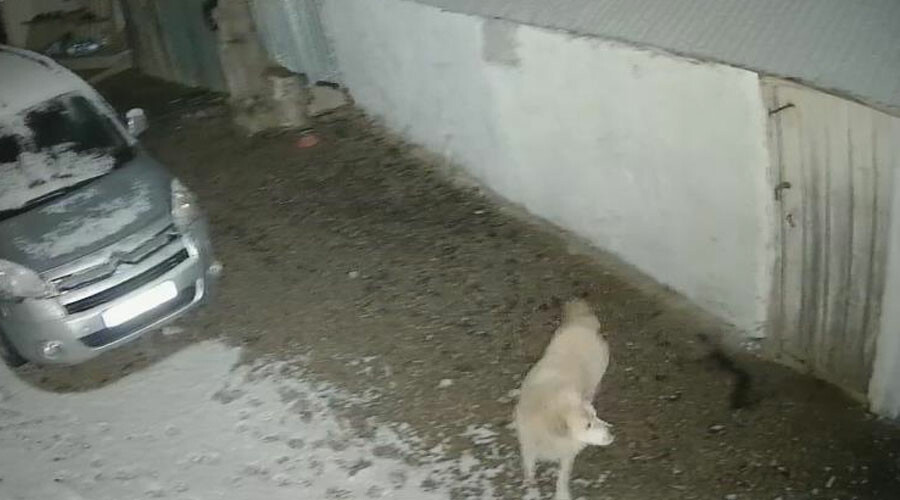 Depreme uykusunda yakalandı, kaçış anı saniye saniye kameraya yansıdı Depreme uykusunda yakalandı, kaçış anı saniye saniye kameraya yansıdı