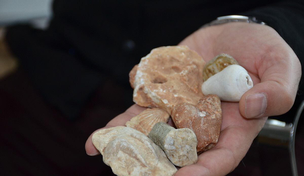 Bitlis'te merak uyandıran keşif: 70 milyon yıllık fosiller gün yüzüne çıktı