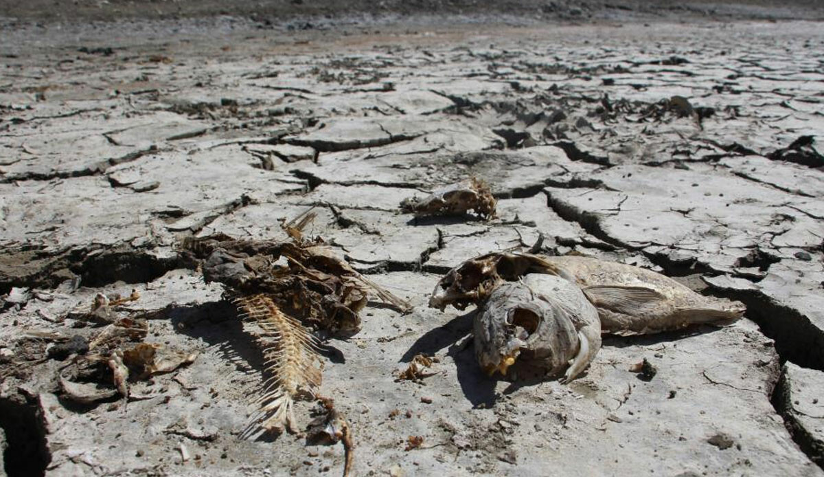 İç Anadolu'nun yüreğine su serpen haber geldi! Kar geliyor, tarih verildi
