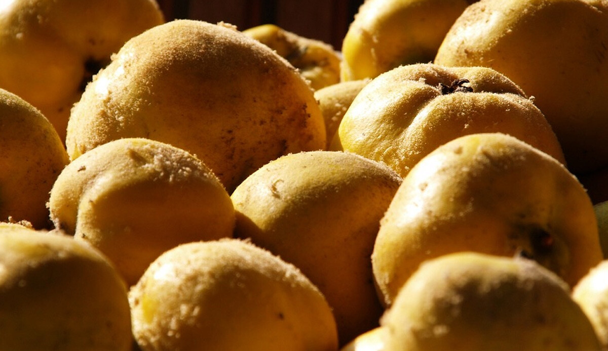 Ne grip bırakıyor ne soğuk algınlığı! Şeker hastaları da rahatlıkla yiyebilir