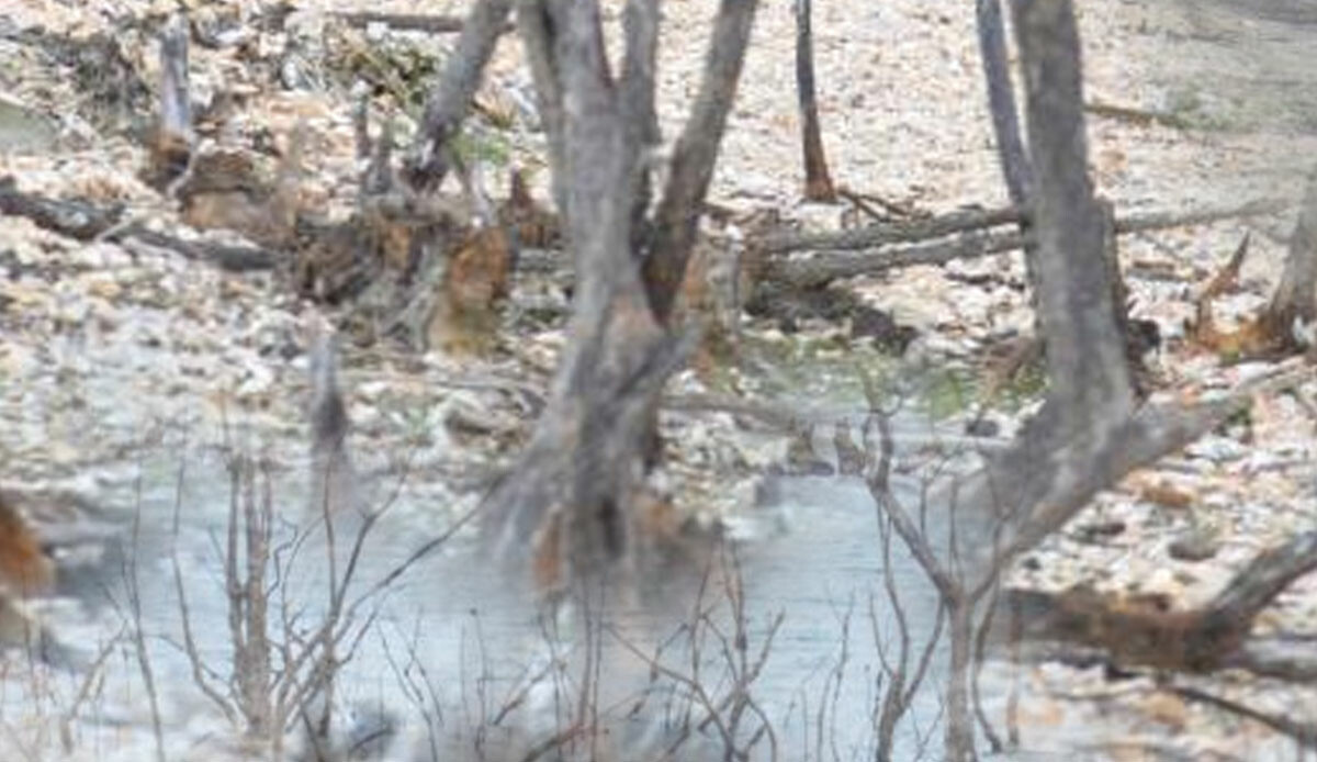 Son 50 yılın en tehlikeli görüntüleri! Yenileri ortaya çıktı, tedirginlik oluştu: Görülmemişi yaşıyoruz