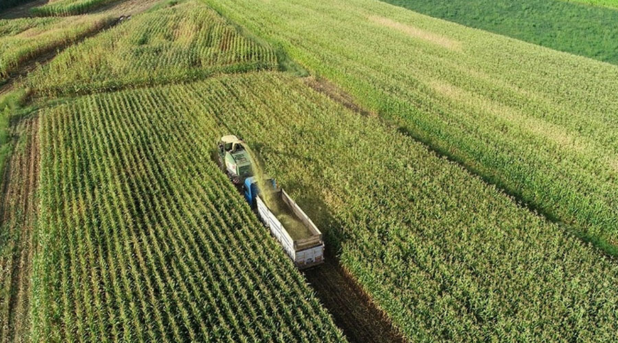 Bakan Kirişçi duyurdu: 972 milyon liralık tarımsal destek ödemeleri hesaplara yatırılıyor