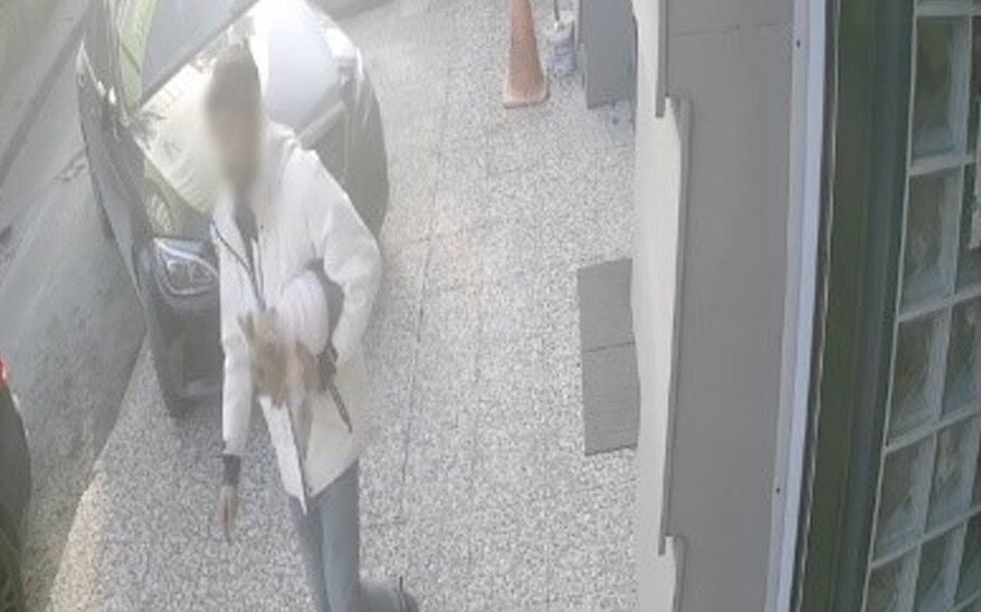 Parktaki köpeği kucaklayıp götürdü! Para karşılığı geri vermek isteyince polis baskınıyla yakalandı