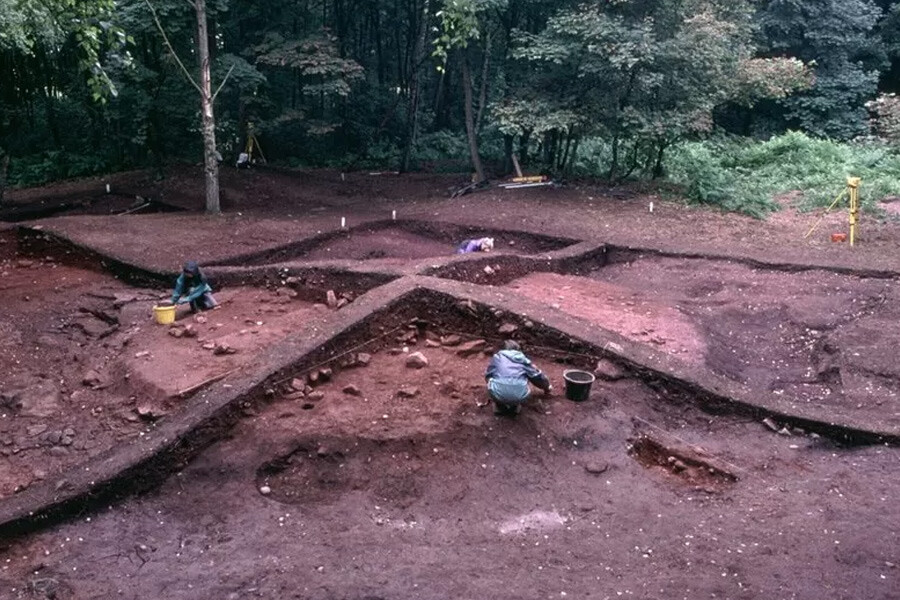 Vikingler’in İngiltere’ye sevdikleri hayvanları da yanlarında taşıyarak işgale gittiği ortaya çıktı