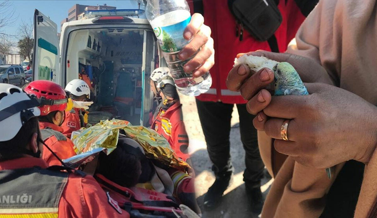 Ekipler gözlerine inanamadı: Minik Berat 55 saatin sonunda elinde muhabbet kuşuyla enkazdan çıkarıldı