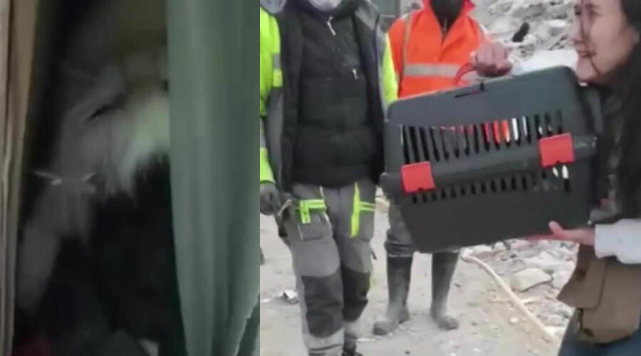 Enkaz altında her can yaşam savaşı veriyor: Hatay’da 121 saat sonra bir kedi kurtarıldı