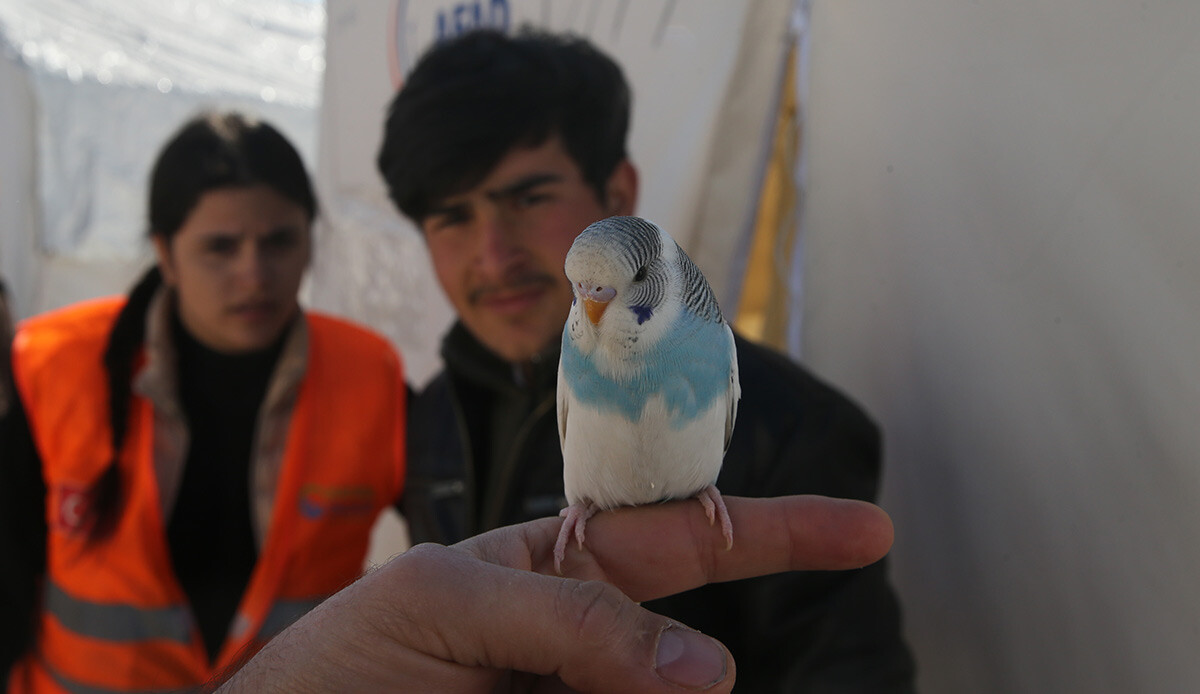 'Maviş'in deprem gecesi çıkardığı ses aileyi felaketten kurtardı: Onun sayesinde depreme yakalanmadık