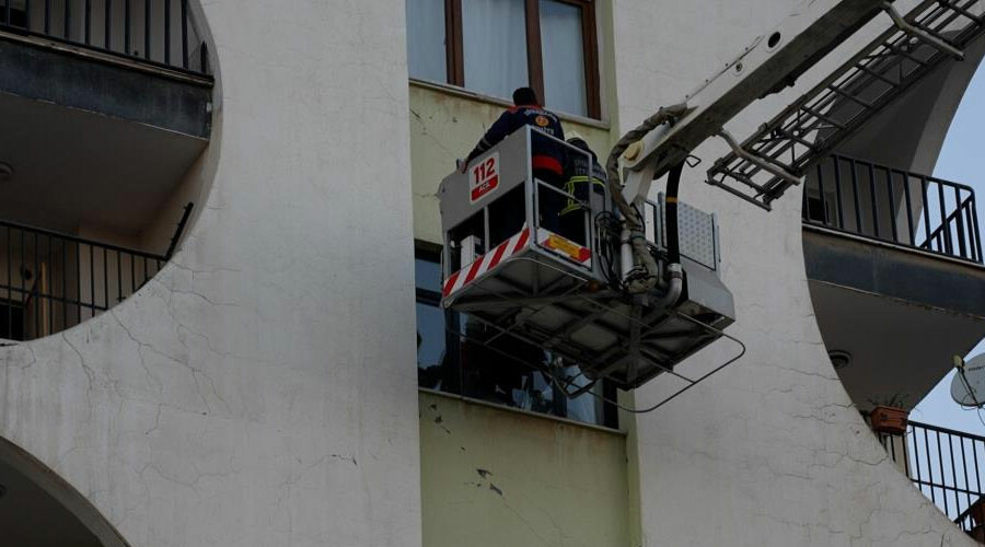 Galeria sitesinde mahsur kalan hayvanlara ilişkin açıklama: Yanıltıcı haberlere itibar etmeyin