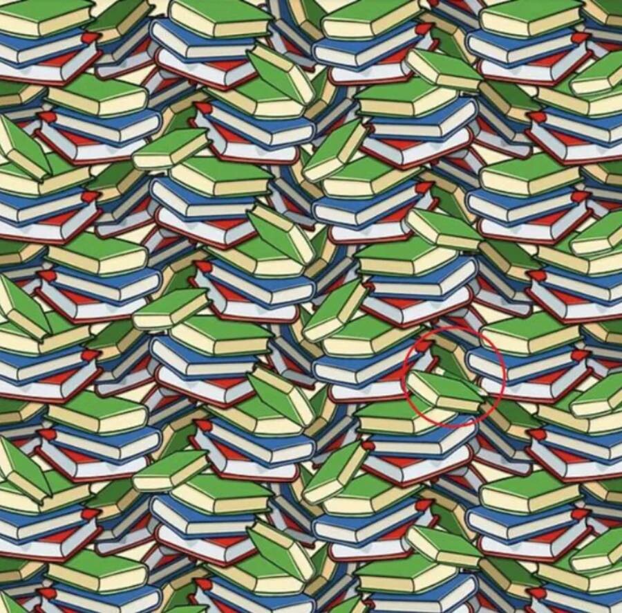 Kitapların arasına gizlenen kalemi bulmak neredeyse imkânsız! Siz 17 saniyede bulabilecek misiniz?