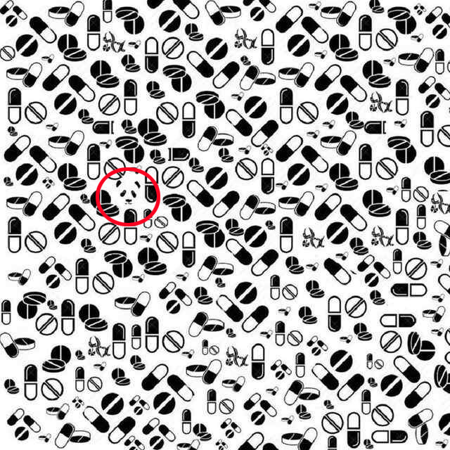 Hapların arasındaki panda nerede? 9 saniyede bulan dâhi sayılıyor