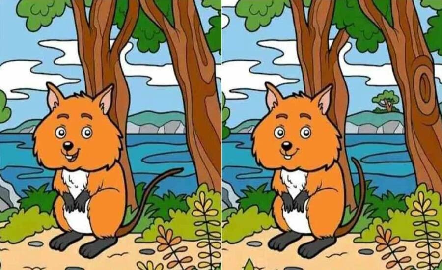 İki resim arasında 10 farkı 40 saniyede bulabilecek misin? Her 10 kişiden sadece 2’si başarabiliyor