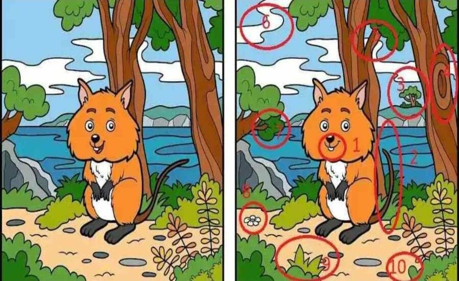 İki resim arasında 10 farkı 40 saniyede bulabilecek misin? Her 10 kişiden sadece 2’si başarabiliyor