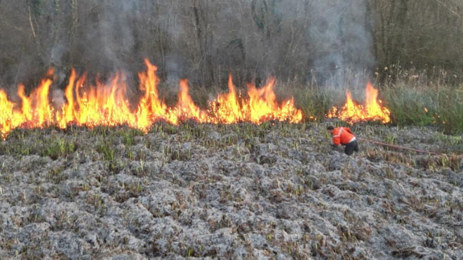 Sakarya'da yangın: 100 dönüm arazi kül oldu Sakarya'da yangın: 100 dönüm arazi kül oldu