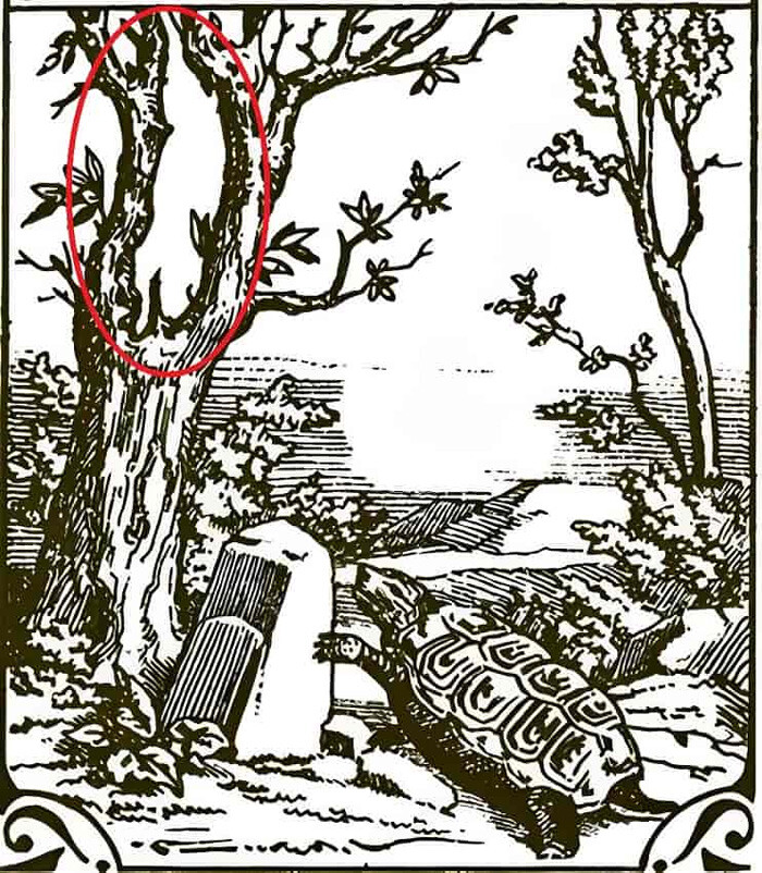 Süre 7 saniye! Görseldeki gizli tavşanı yalnızca gözleri cin gibi olanlar buluyor