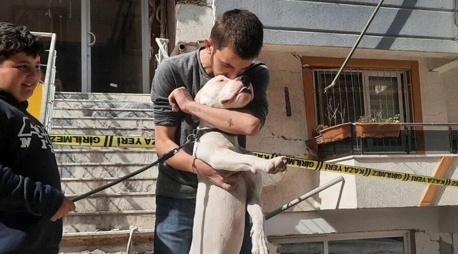Kahraman köpek Dora deprem anında çocukların üzerine siper oldu Kahraman köpek Dora deprem anında çocukların üzerine siper oldu