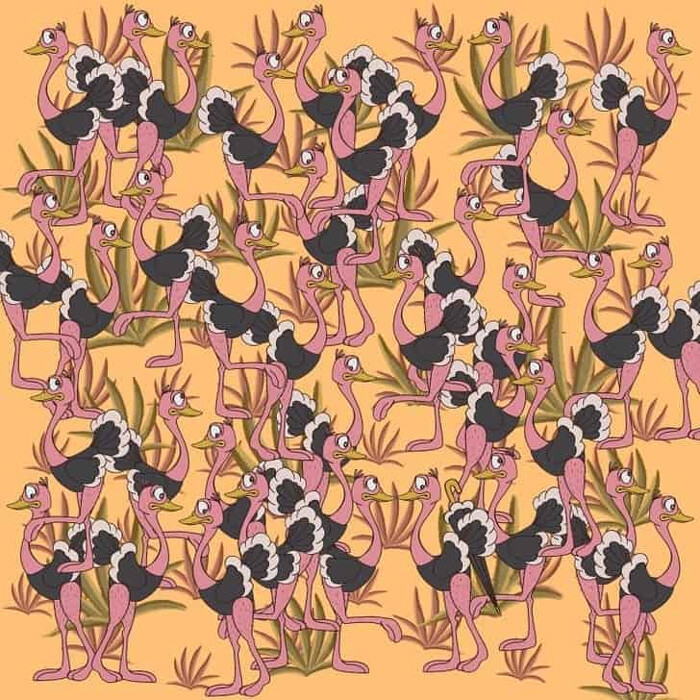 Beyni çalıştıran illüzyon: Resimdeki şemsiye nerede? 7 saniyede bulan dâhi çıkıyor