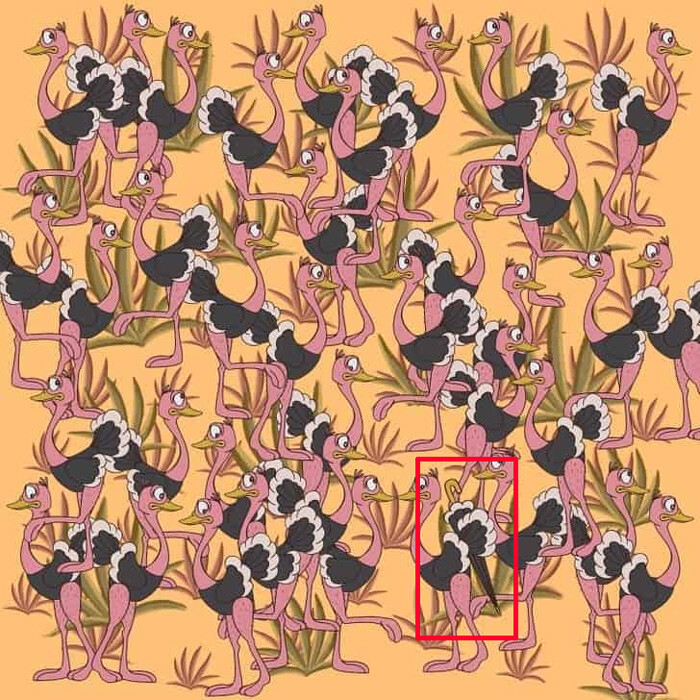 Beyni çalıştıran illüzyon: Resimdeki şemsiye nerede? 7 saniyede bulan dâhi çıkıyor