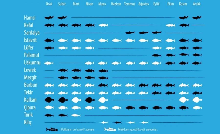 Mart ayında sakın bu balıkları yemeyin! Uzmanlar uyardı: Samandan farksız