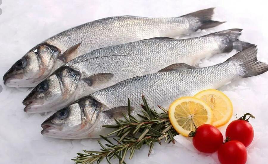 Mart ayında sakın bu balıkları yemeyin! Uzmanlar uyardı: Samandan farksız
