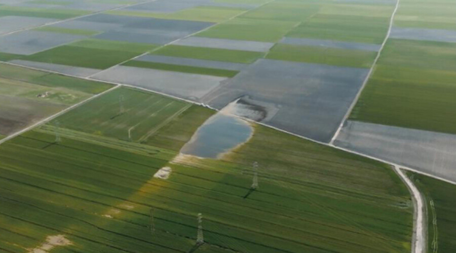 MTA fay hatlarındaki incelemesini tamamladı: Deprem bataklık gölü oluşturdu!