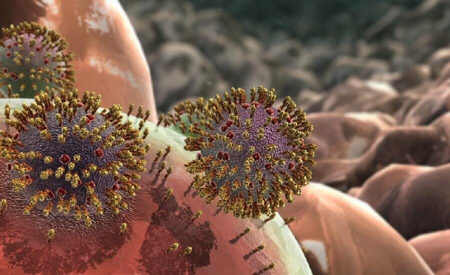 H1N1 virüsü nedir? H1N1 virüsü belirtileri neler ölümcül mü? H1N1 virüsü nedir? H1N1 virüsü belirtileri neler ölümcül mü?