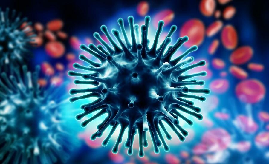 H1N1 virüsü nedir? H1N1 virüsü belirtileri neler ölümcül mü? H1N1 virüsü nedir? H1N1 virüsü belirtileri neler ölümcül mü?