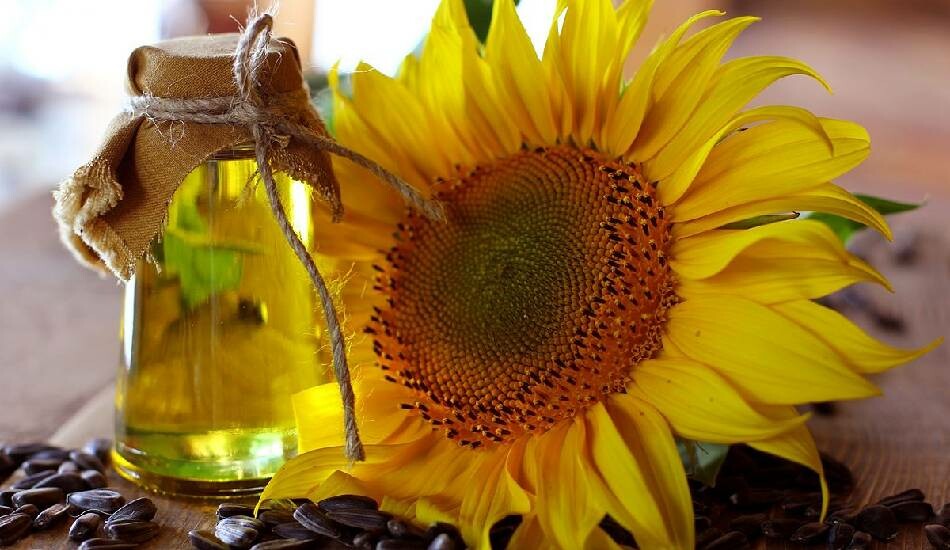 4 litre ayçiçek yağının fiyatı 174,90 TL'den düşüyor! O market yağ fiyatlarını güncelledi! 39,95 TL'ye ayçiçek yağı satışta