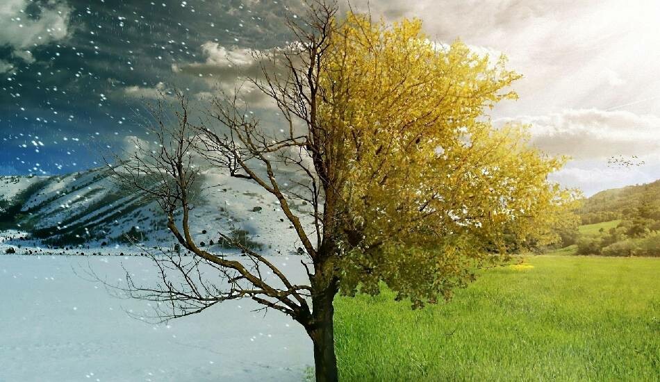 Kocakarı soğukları ne zaman olur ne zaman biter? Kocakarı soğukları anlamı nedir?