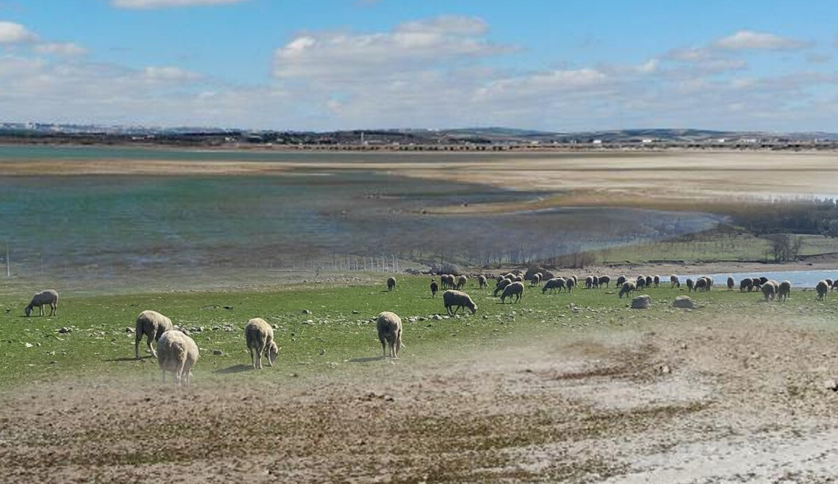 Büyükçekmece Gölü
