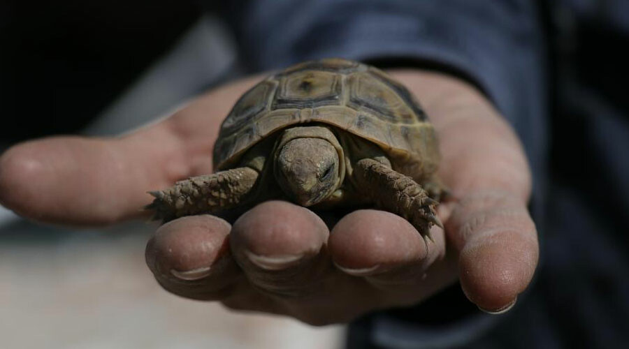Depremin yıktığı evine girdi, gördüğü manzara karşısında hayrete düştü: Yaşıyor olabileceğini düşünmemiştim Depremin yıktığı evine girdi, gördüğü manzara karşısında hayrete düştü: Yaşıyor olabileceğini düşünmemiştim